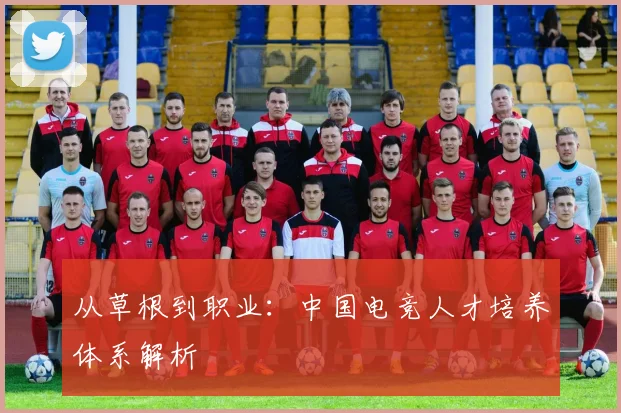 从草根到职业:中国电竞人才培养体系解析